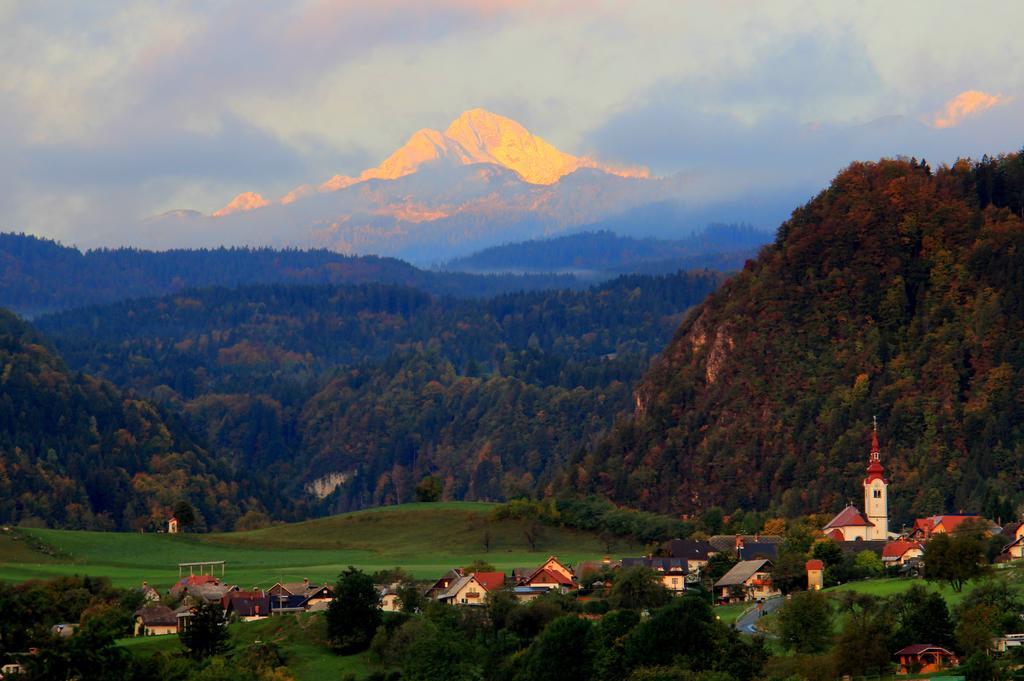 Apartment Natur Bled Zimmer foto